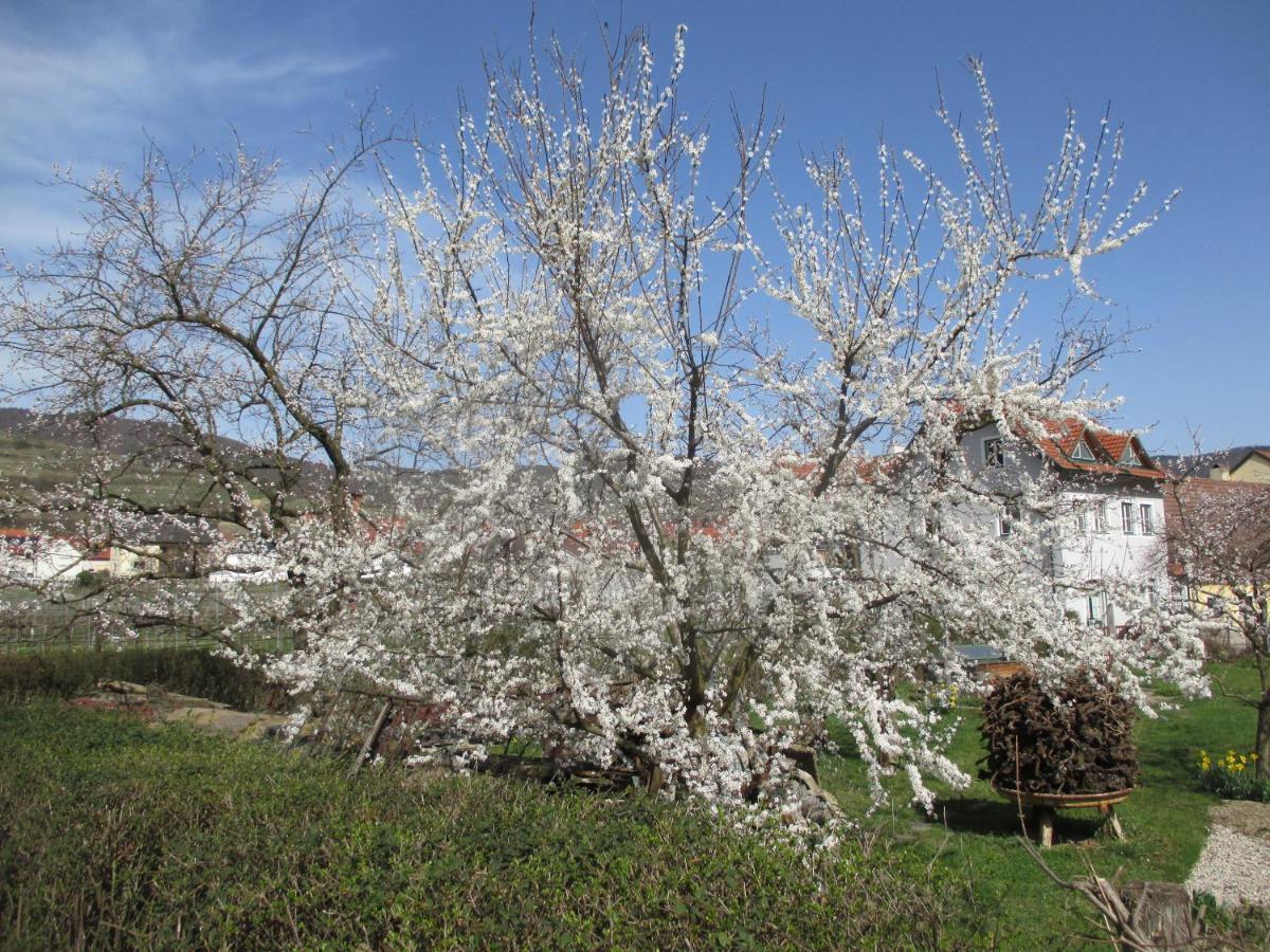 Gaestehaus Rudolf U. Sandra Denk Wösendorf 外观 照片